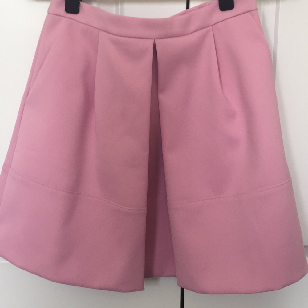 JCrew skirt